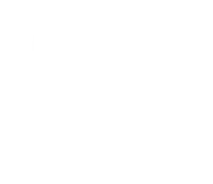Logo PCA 2025 Schmerztherapie und Osteopathie Zentrum Döbling